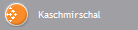 Kaschmirschal