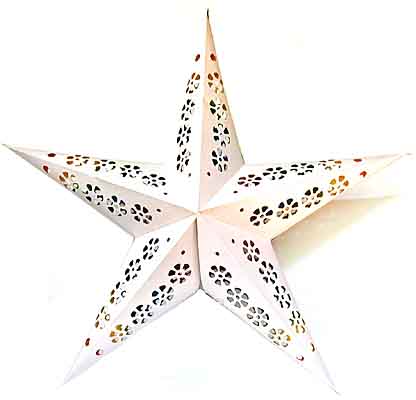 Sternlampion
