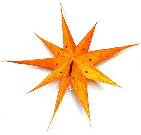 Sternlampion