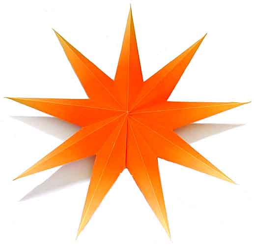 Sternlampion