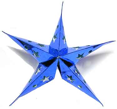 Sternlampion