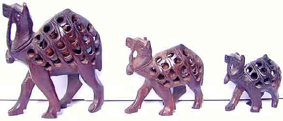 Kamel Set, Holz,